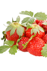 red strawberries