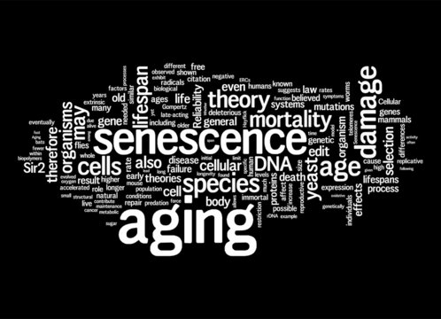 Aging Concepts