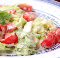 frischer Salat