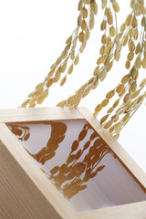 日本酒と稲穂 © sakura