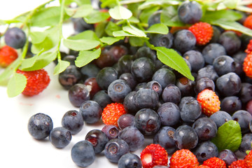 Wild strawberries and blueberries