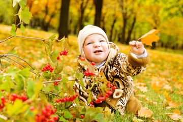 Baby over yellow leaves
