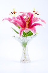 Bouquet of lilies in a crystal vase