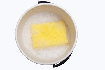 Sponge in pail.