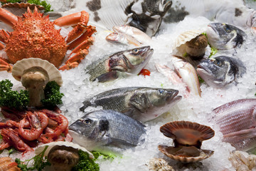 fresh seafood on ice