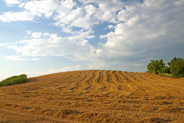 Obraz premium Hill