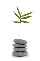 Fototapeta na wymiar balanced stones with bamboo leaf