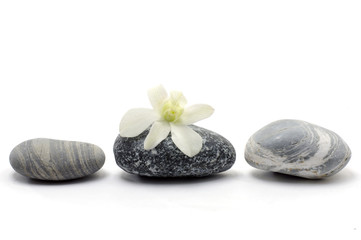 Fototapeta na wymiar Skład Spa z kamieni i kwiat orchidei