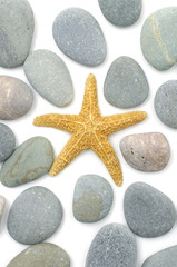 Fototapeta na wymiar starfish and pebbles as background