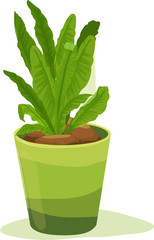 Leafy pot