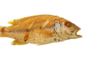 Deep Fried Fish