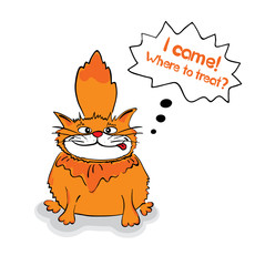 cat came to the festival