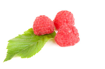 raspberries isolated on the white background
