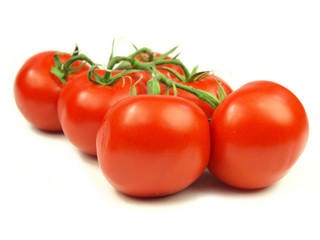 Tomatos on white background
