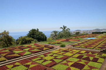Botanischer Garten in Funchal