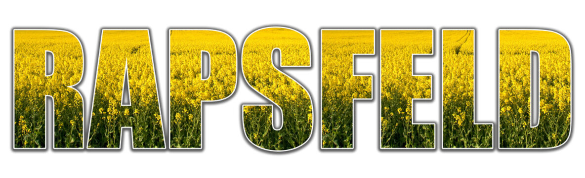 Text - Rapsfeld