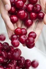 Cherries in female hands