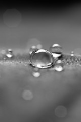 wassertropfen auf Stoff