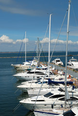 Fototapeta premium White yachts on an anchor