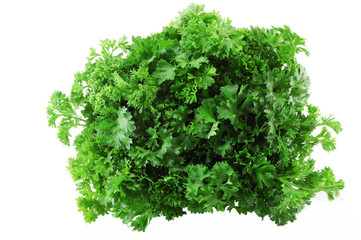 Fresh curly parsley