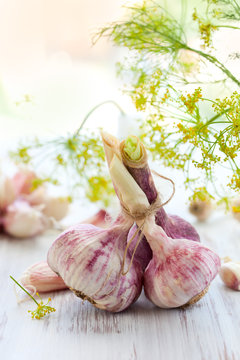 fresh garlic