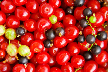 background cherries, blackberry, gooseberry