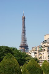 Fototapeta na wymiar Tour Eiffel magnifique