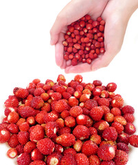 hands with strawberries