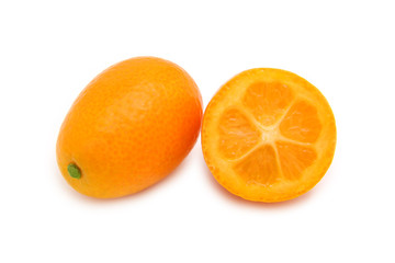 exotic fruit kumquat 2_0686