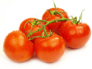 Fresh tomatoes on white background