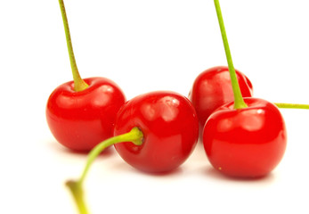 Fresh cherries on white background