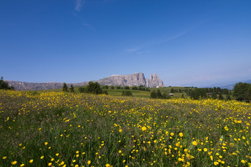 Obraz premium Altopiano dell'alpe di Siusi Dolomiti