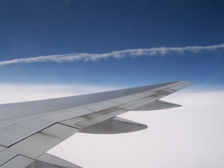 Fototapeta na wymiar Horizontal Wing in Sky