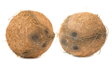 Two Coconuts
