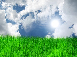 Obraz na płótnie Canvas Meadow with grass and blue sky and clouds