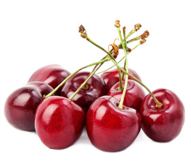big black cherries isolated on white.
