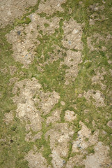 abstract background of a cement flooring