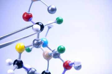 Molecular chain model