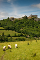 Rural British countryside