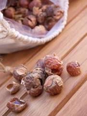 noix de lavage indiennes