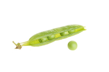 Pea pod and single pea