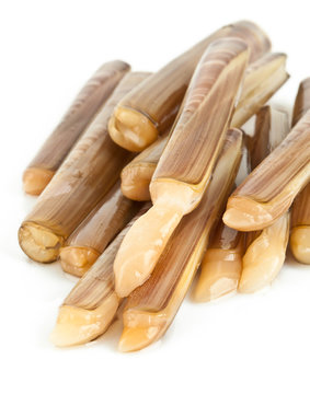 Cannelli