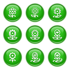 Green glossy buttons 32