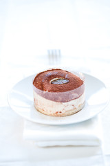 tasty home made tiramisu cake