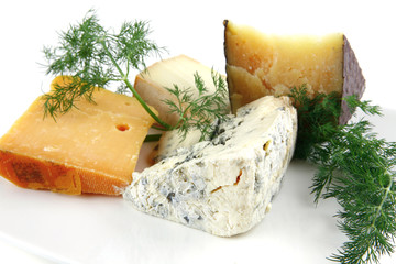 four type of delicatessen cheeses on plate