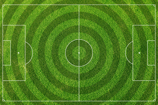 Soccer Field - Real Grass