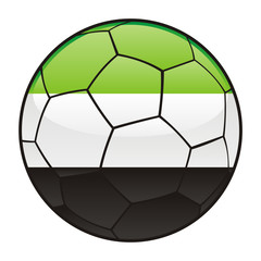 Fototapeta premium vector illustration of Afghanistan flag on soccer ball