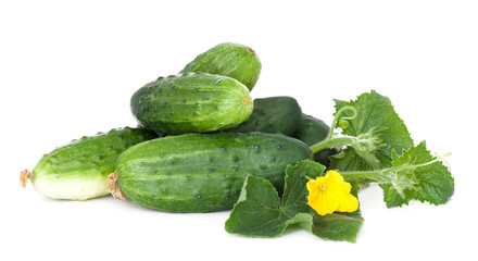 Cucumbers on white with flower