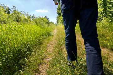Wandern  auf dem Feldweg