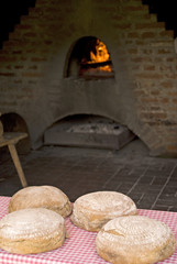 Frisch gebacken